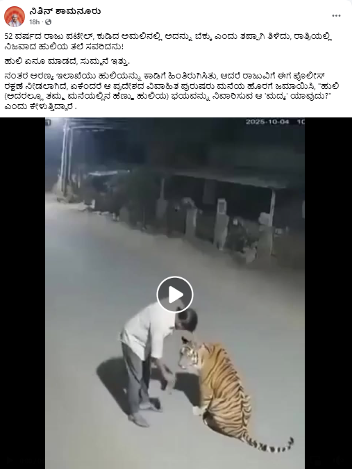 ಮದ್ಯದ ಅಮಲಿನಲ್ಲಿ ಬೆಕ್ಕು ಎಂದು ಹುಲಿಯ ತಲೆ ಸವರಿದ ವ್ಯಕ್ತಿ? ಇಲ್ಲ ಇದು ಎಐ ಸೃಷ್ಟಿ