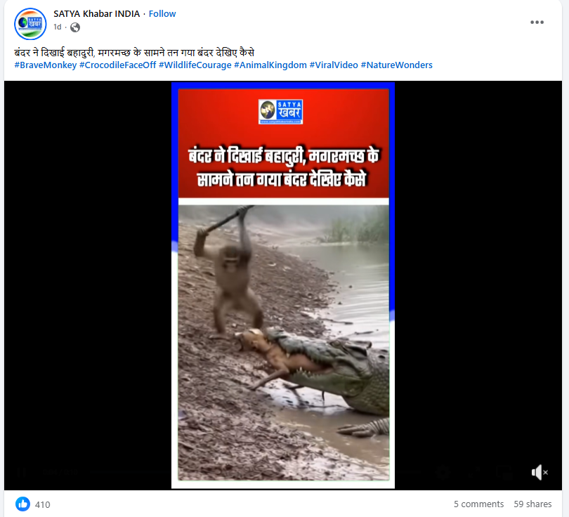 ਬਾਂਦਰ ਨੇ ਮਗਰਮੱਛ 'ਤੇ ਹਮਲਾ ਕਰ ਕੁੱਤੇ ਨੂੰ ਬਚਾਇਆ?