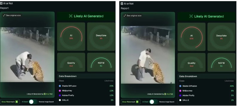 दारूच्या नशेत वाघाच्या डोक्यावर हात फिरवणाऱ्या व्यक्तीचा व्हिडिओ AI जेनरेटेड आहे