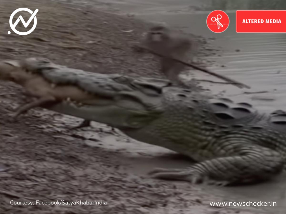 Weekly Wrap: ਰੋਂਦੀ ਕੁਰਲਾਉਂਦੀ ਇਹ ਮਹਿਲਾ ਰਾਜਵੀਰ ਜਵੰਦਾ ਦੀ ਪਤਨੀ ਹੈ? ਪੜ੍ਹੋ ਇਸ ਹਫਤੇ ਦੀਆਂ ਟਾਪ ਫਰਜ਼ੀ ਖਬਰਾਂ