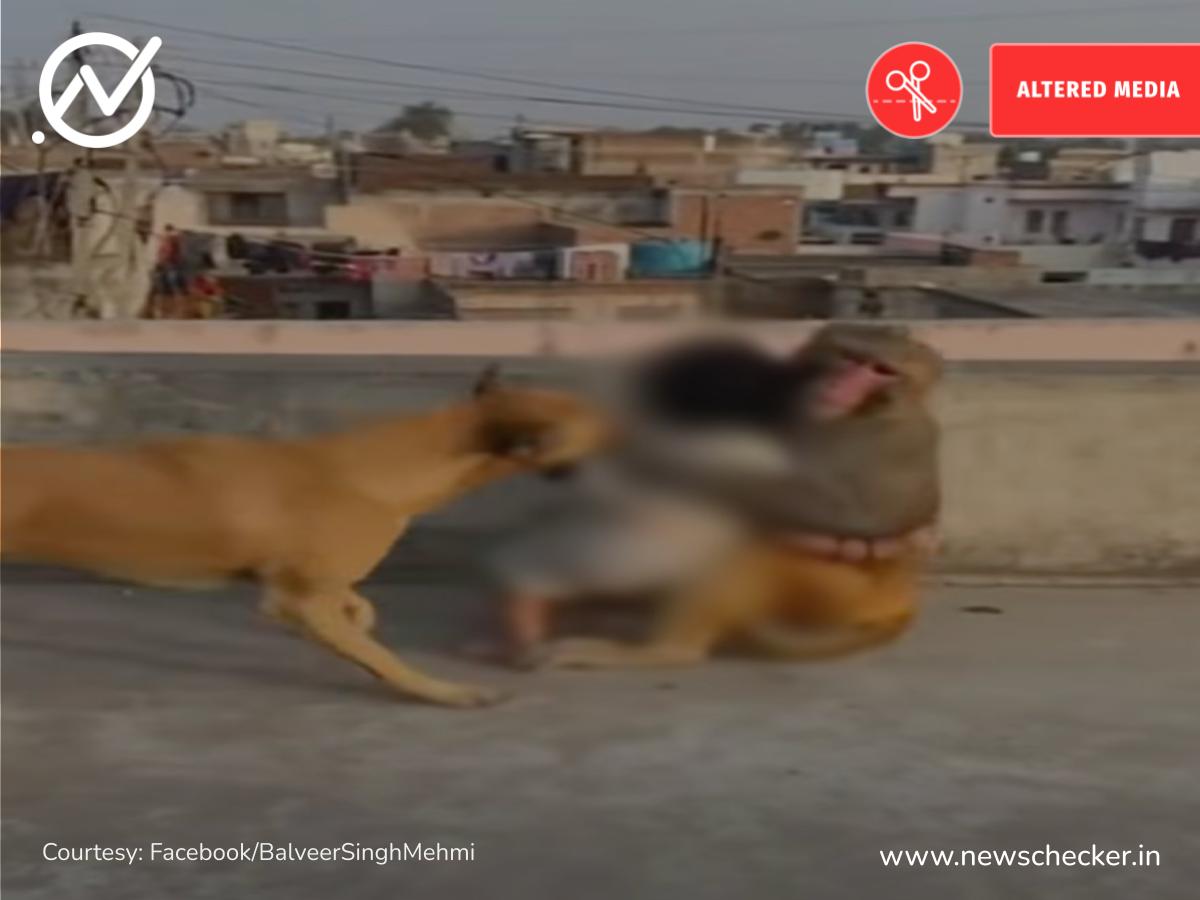 Weekly Wrap: ਅਦਾਕਾਰ ਅਤੇ ਰਾਜਨੇਤਾ ਵਿਜੇ ਨੇ ਆਪਣੀ ਰੈਲੀ ਵਿੱਚ ਲਗਾਇਆ ਸਿੱਧੂ ਮੂਸੇਵਾਲਾ ਦਾ ਗਾਣਾ?ਪੜ੍ਹੋ ਇਸ ਹਫਤੇ ਦੀਆਂ ਟਾਪ ਫਰਜ਼ੀ ਖਬਰਾਂ