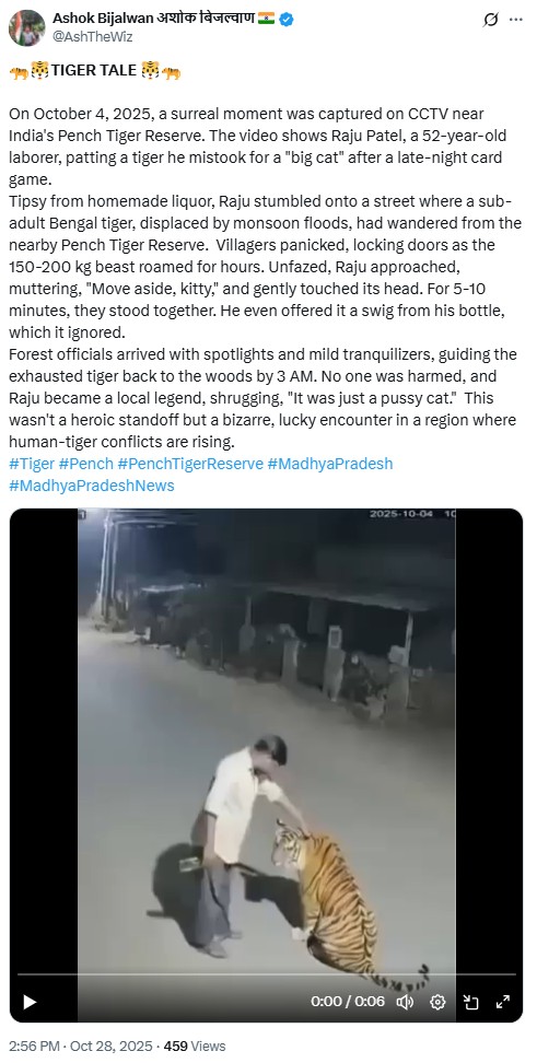 Drunk Man Pets Tiger, Offers It Liquor In Pench? Here’s The Truth Behind Viral Video
