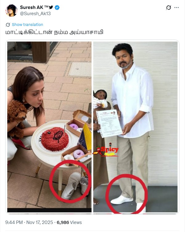 திரிஷாவின் நாய்க்குட்டி பிறந்தநாளில் விஜய் கலந்துக்கொண்டார்.