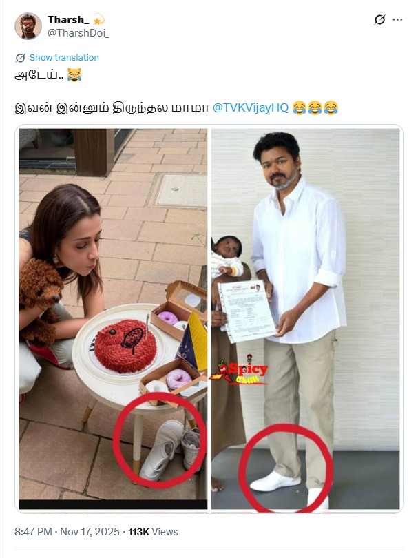 திரிஷாவின் நாய்க்குட்டி பிறந்தநாளில் விஜய் கலந்துக்கொண்டார்.