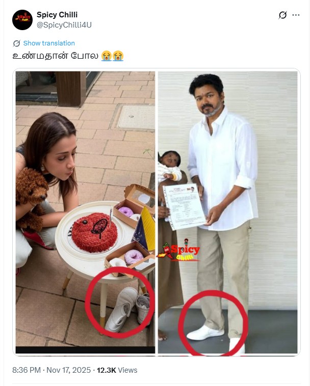 திரிஷாவின் நாய்க்குட்டி பிறந்தநாளில் விஜய் கலந்துக்கொண்டார்.