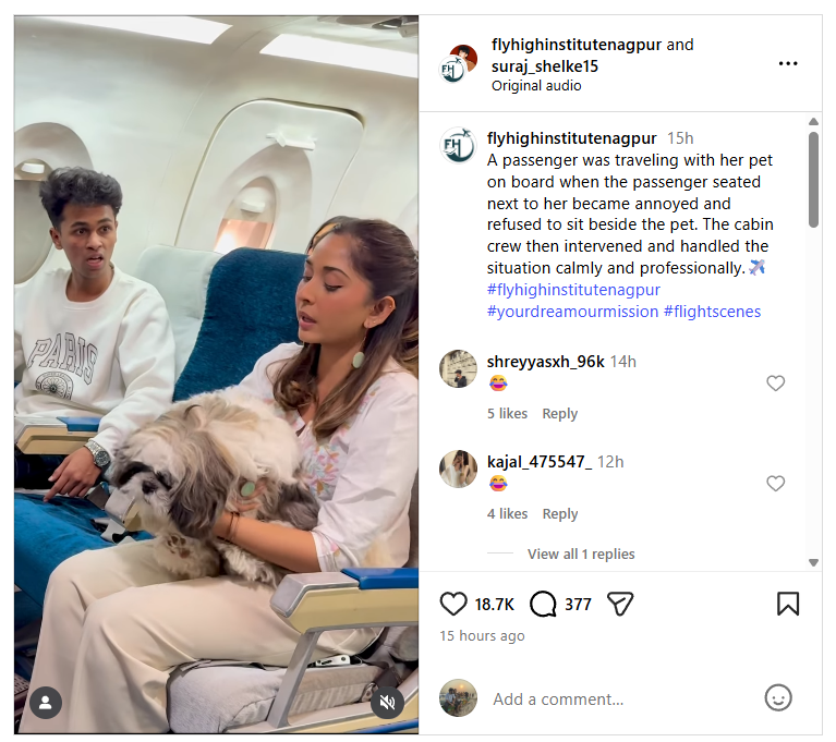 விமான பணிப்பெண்ணிடம் கூச்சலிட்ட வாலிபர்.