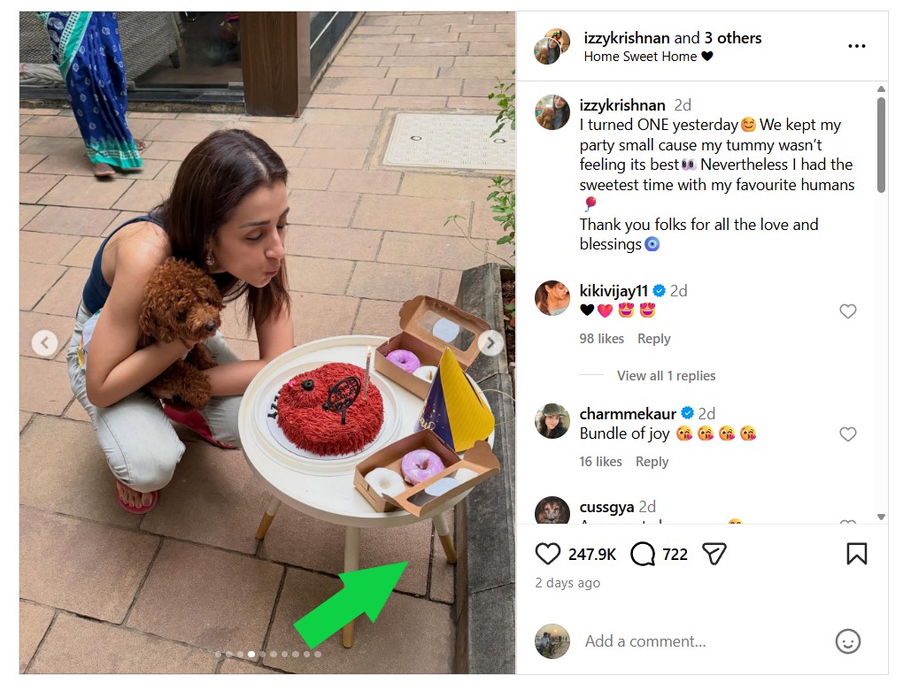 திரிஷாவின் நாய்க்குட்டி பிறந்தநாளில் விஜய் கலந்துக்கொண்டார்.