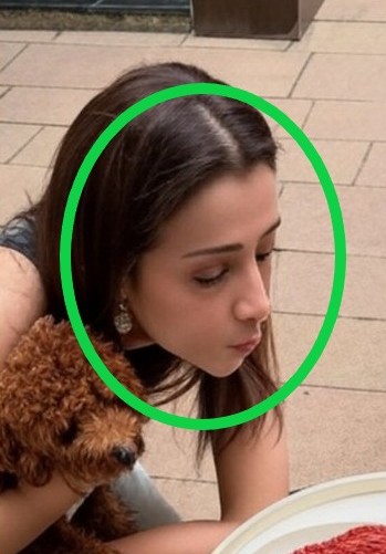 திரிஷாவின் நாய்க்குட்டி பிறந்தநாளில் விஜய் கலந்துக்கொண்டார்.