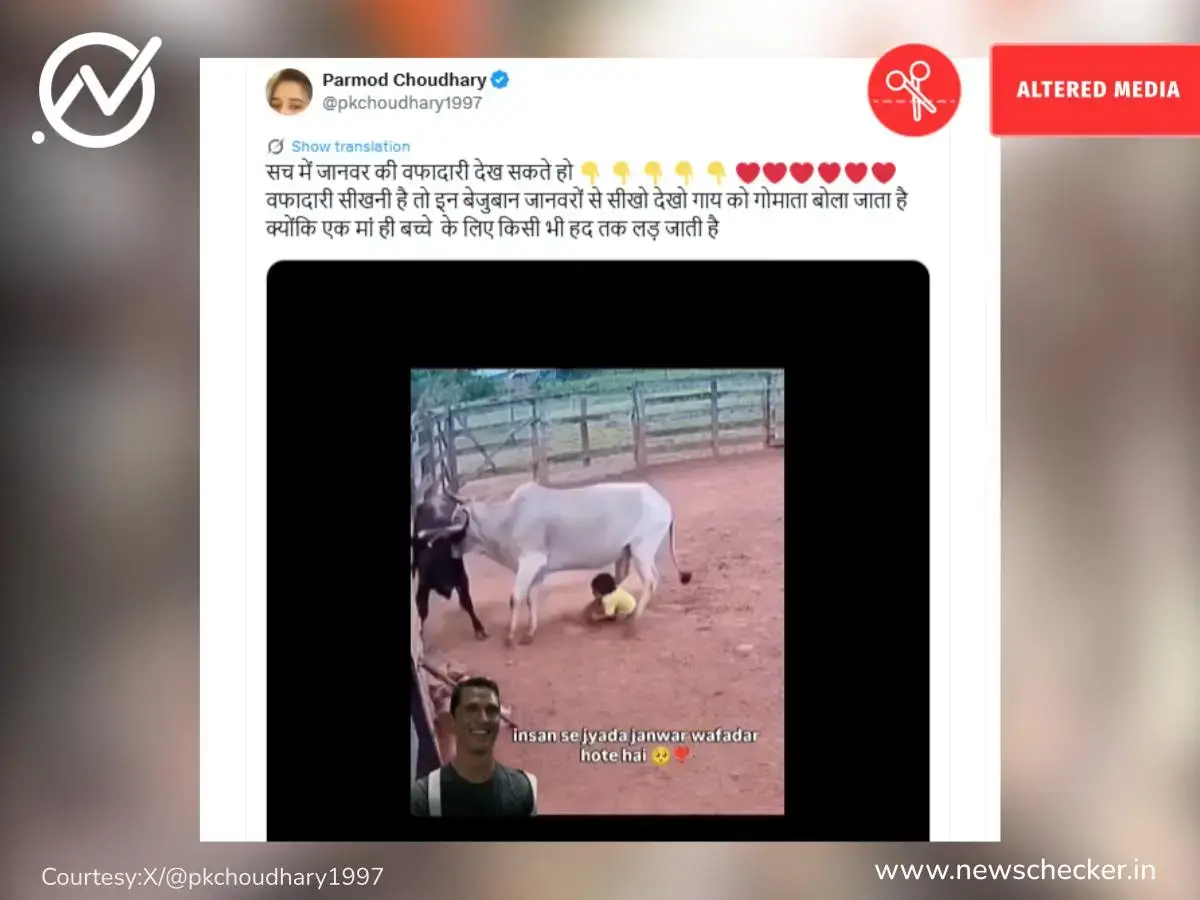 Weekly Wrap: ज्येष्ठांना विशेष अनुदान ते वाघाचा हल्ला पर्यंतच्या दाव्यांचे फॅक्ट चेक