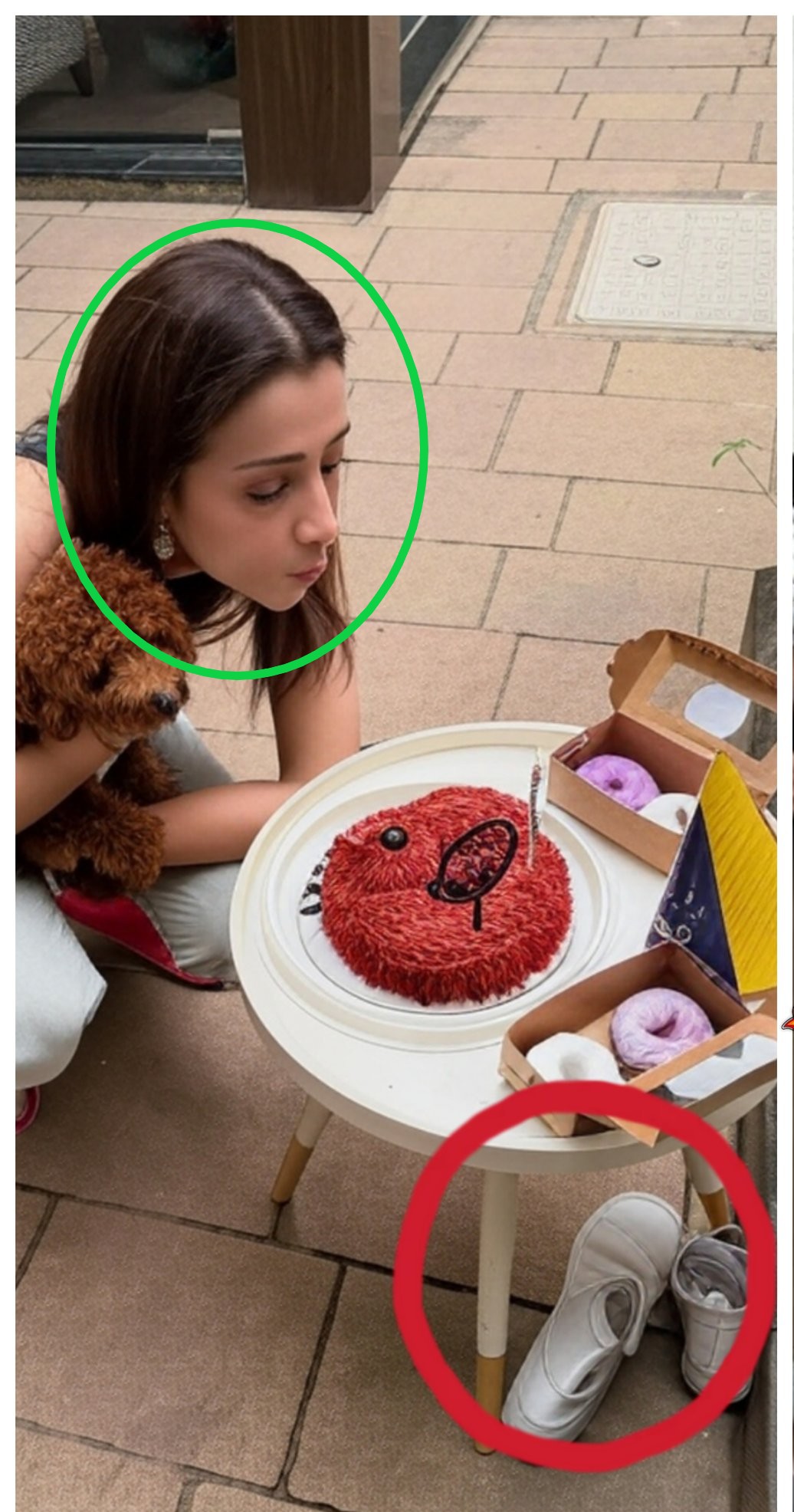 திரிஷாவின் நாய்க்குட்டி பிறந்தநாளில் விஜய் கலந்துக்கொண்டார்.