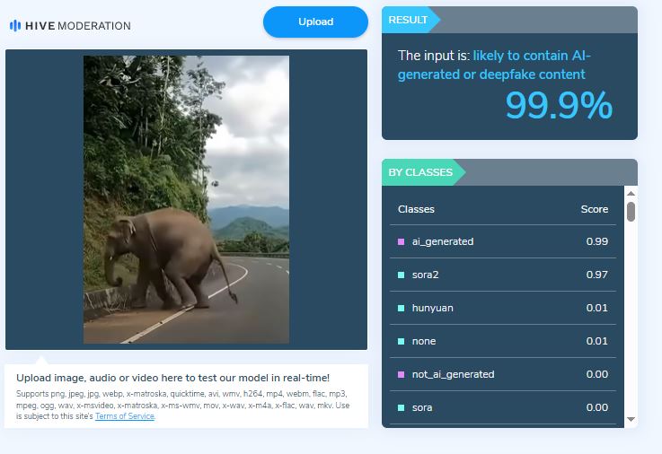 ಸುಳ್ಯ ಸಂಪಾಜೆ ರಸ್ತೆಯಲ್ಲಿ ಆನೆ ಕಾಲು ಜಾರಿ ರಸ್ತೆಗೆ ಬಿದ್ದಿದೆಯೇ?