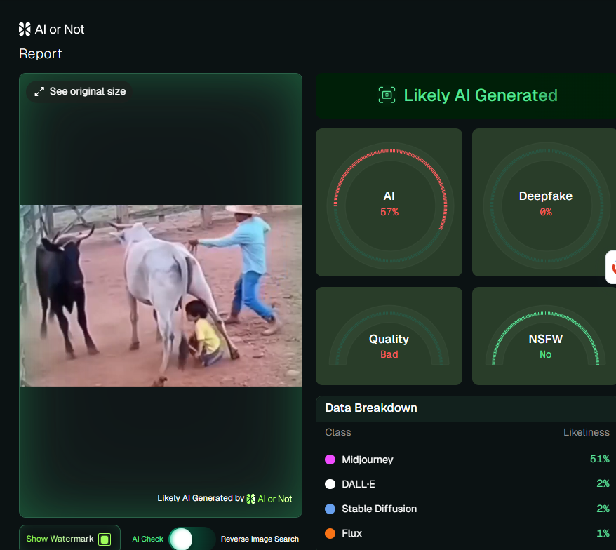 बैलाच्या हल्ल्यातून मुलाला वाचवणाऱ्या गायीचा व्हिडिओ AI जनरेटेड आहे