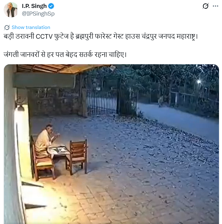 ਮਹਾਰਾਸ਼ਟਰ 'ਚ ਜੰਗਲਾਤ ਗੈਸਟ ਹਾਊਸ ਦੇ ਬਾਹਰ ਬੈਠੇ ਵਿਅਕਤੀ ਤੇ ਬਾਘ ਨੇ ਕੀਤਾ ਹਮਲਾ?