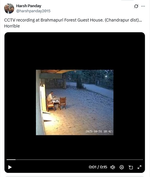 Tiger Attacks Man in Chandrapur? Viral Video Is AI-Generated