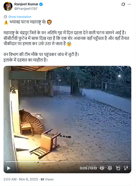 चंद्रपूरच्या वन विभागाच्या अतिथीगृहावर वाघाचा हल्ला? व्हायरल व्हिडिओ AI जनरेटेड असल्याचे स्पष्ट