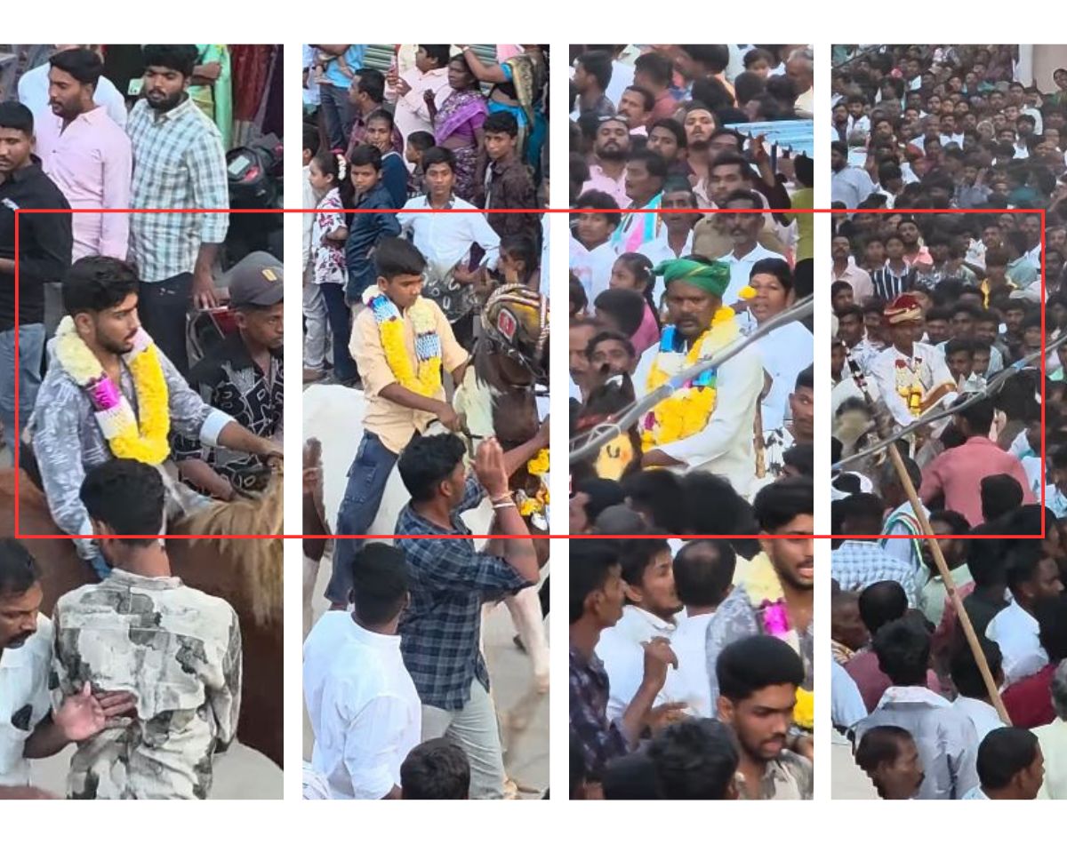 हा व्हिडिओ दलित वराला घोड्यावरून उतरवण्याचा नाही तर आंध्र प्रदेशातील दसऱ्याच्या घोड्यांच्या शर्यतीचा आहे