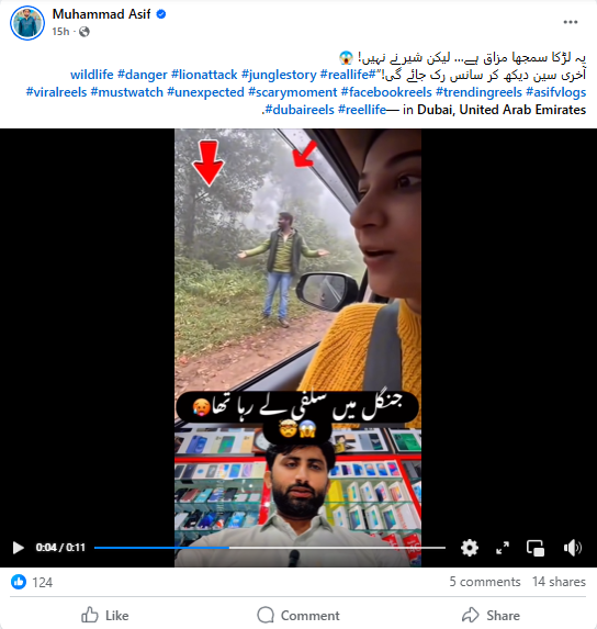 جنگل میں ریل بنانے والے نوجوان پر شیر کے حملہ کی ویڈیو۔