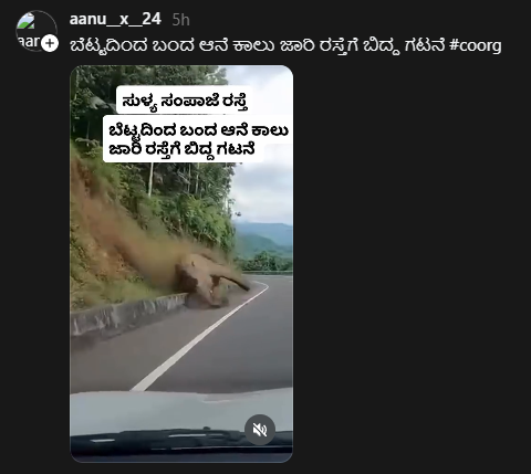 ಸುಳ್ಯ ಸಂಪಾಜೆ ರಸ್ತೆಯಲ್ಲಿ ಆನೆ ಕಾಲು ಜಾರಿ ರಸ್ತೆಗೆ ಬಿದ್ದಿದೆಯೇ?