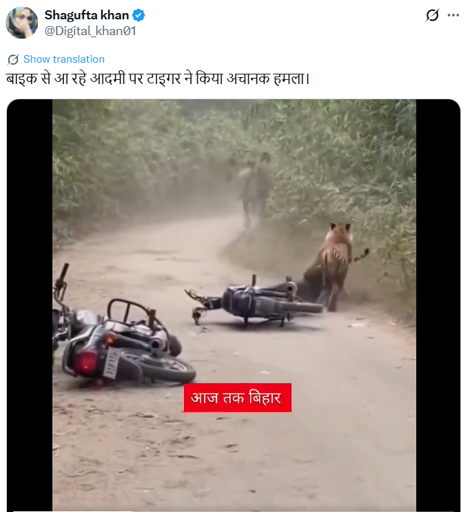 बाइक सवार पर हमला करते टाइगर