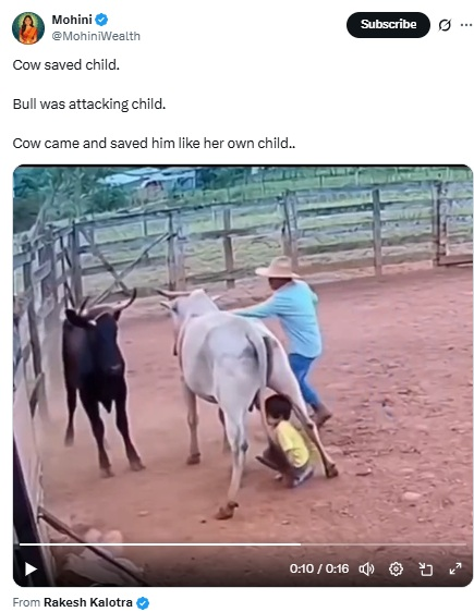 ಮಗುವನ್ನು ಗೂಳಿಯ ದಾಳಿಯಿಂದ ಹಸು ರಕ್ಷಿಸುವ ವೀಡಿಯೋ; ಇದು ನಿಜವಲ್ಲ ಎಐ ಕರಾಮತ್ತು