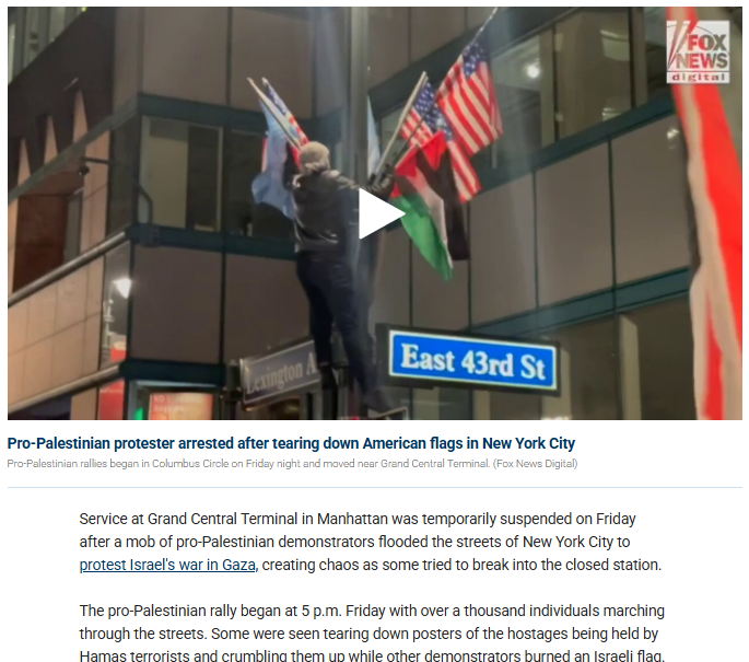 ನ್ಯೂಯಾರ್ಕ್ ಗೆ ಝೊಹ್ರನ್ ಮಮ್ದಾನಿ ಮೇಯರ್ ಆಗುತ್ತಿದ್ದಂತೆ ಅಮೆರಿಕದ ಧ್ವಜಗಳನ್ನು ಕಿತ್ತೆಸೆದ ಮುಸ್ಲಿಮರು?