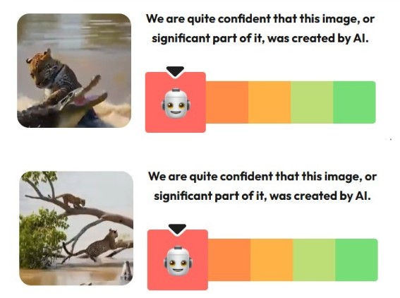 Video Of Leopard Saving Her Cub From Crocodiles Is AI-Generated