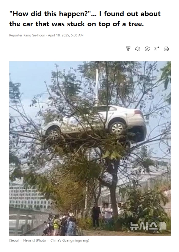 ஈரோடு கூட்டத்தில் தவெகவினர் மரத்தின்மேல் காரை ஏற்றியதாக பரவும் வீடியோ.