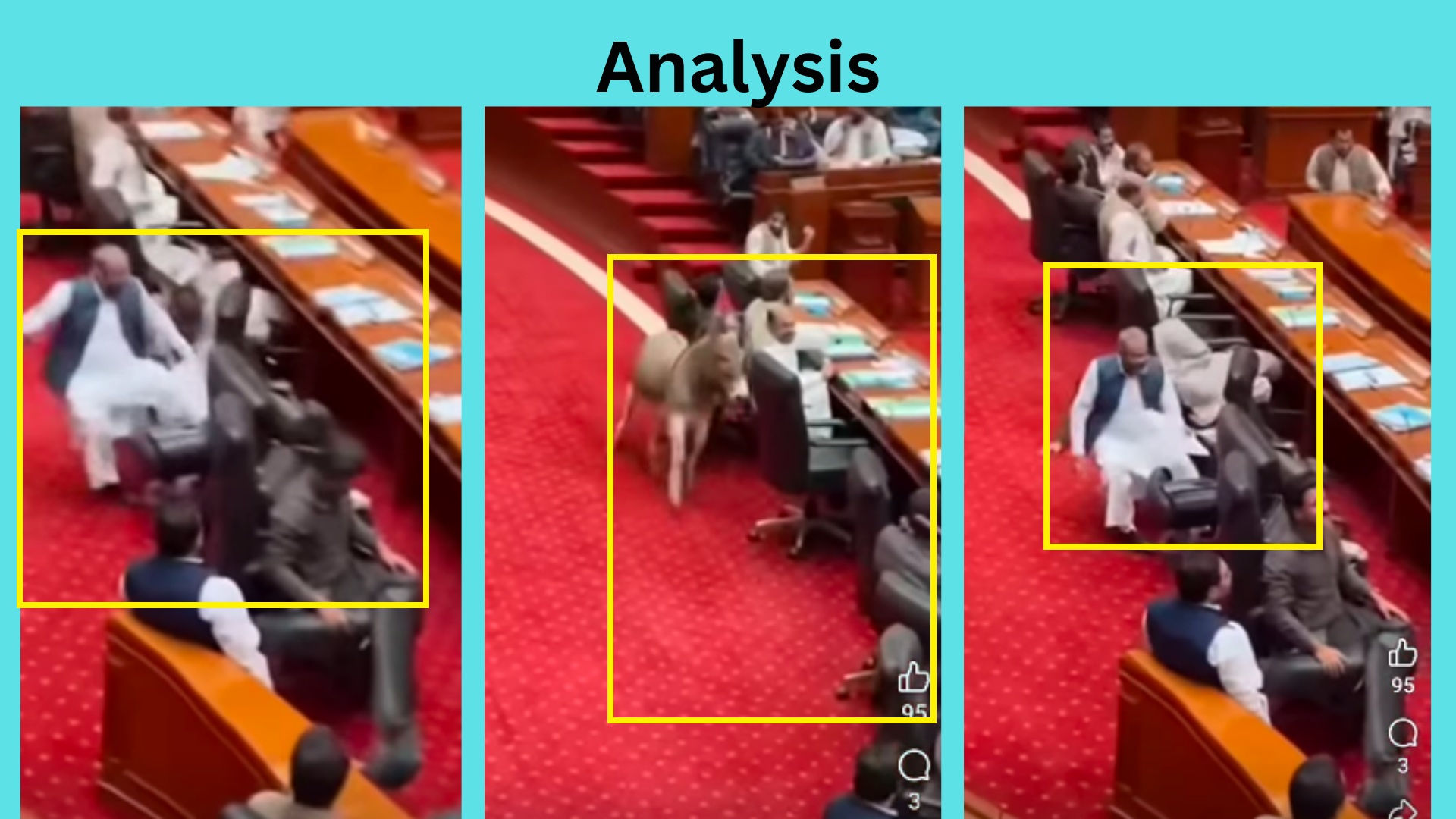 ਪਾਕਿਸਤਾਨ ਦੀ ਸੰਸਦ ਵਿੱਚ ਅੰਦਰ ਵੜਿਆ ਗਧਾ?