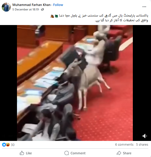 پاکستانی پارلیمنٹ میں گدھے کے داخل ہونے کی ہے یہ ویڈیو۔