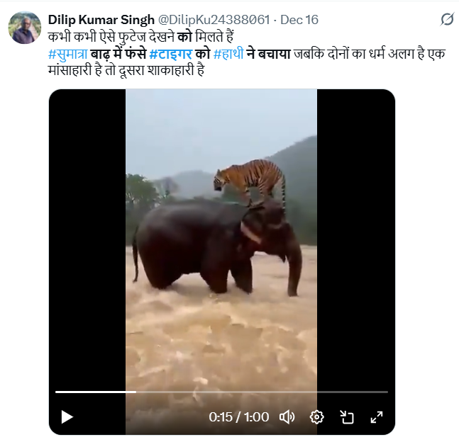 टाइगर का रेस्क्यू करते हाथी