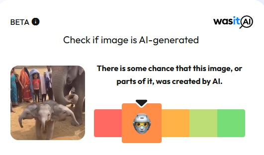 ಮೂರು ತಲೆಯ ಆನೆ ಮರಿ ಎಂದು ವೈರಲ್ ಆಗಿರುವ ವೀಡಿಯೋ ಎಐ ಕರಾಮತ್ತು!