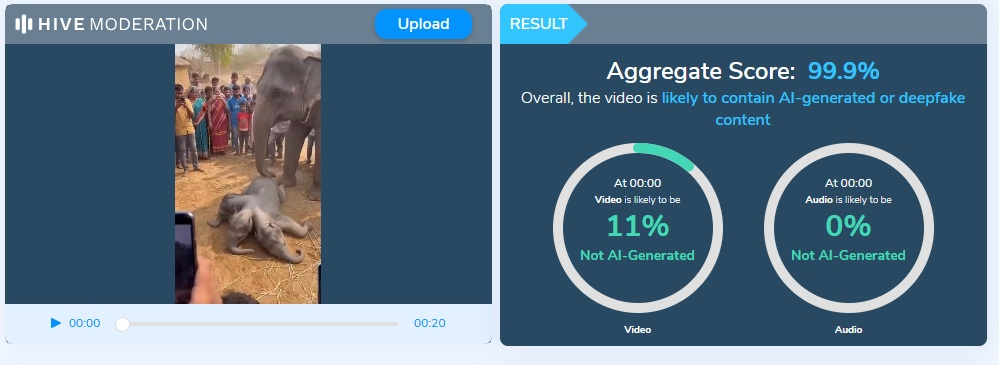 ಮೂರು ತಲೆಯ ಆನೆ ಮರಿ ಎಂದು ವೈರಲ್ ಆಗಿರುವ ವೀಡಿಯೋ ಎಐ ಕರಾಮತ್ತು!