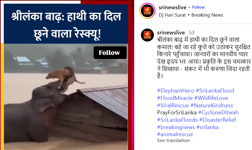 बाढ़ से कुत्ते का रेस्क्यू करते हाथी