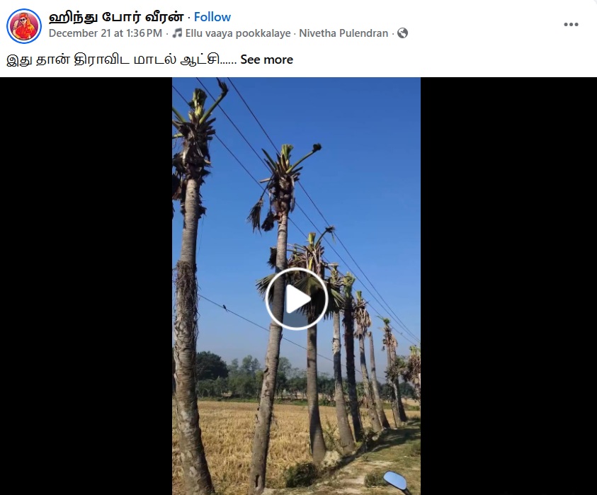 மின் கம்பிகள் 