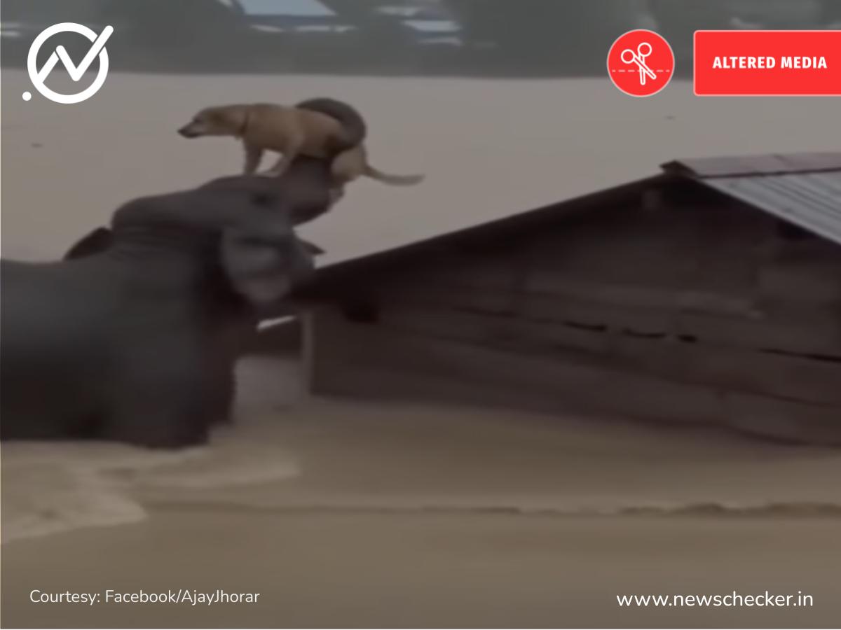 Weekly Wrap: ਕੀ ਰੂਸੀ ਫੌਜ ਨੇ ਹਰਿਆਣਾ ਦੇ ਨੌਜਵਾਨ ਨੂੰ ਯੂਕਰੇਨ ਵਿਰੁੱਧ ਲੜਨ ਲਈ ਮਜਬੂਰ ਕੀਤਾ? ਪੜ੍ਹੋ ਇਸ ਹਫਤੇ ਦੀਆਂ ਟਾਪ ਫਰਜ਼ੀ ਖਬਰਾਂ