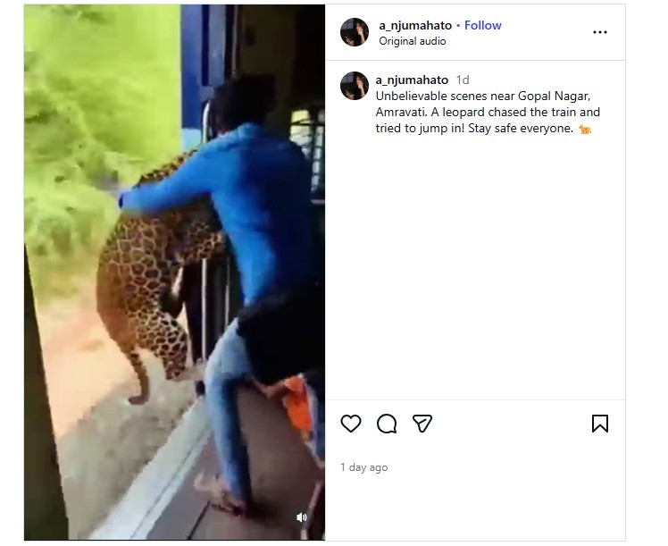 Viral Footage Of Leopard Chasing Train, Attacking Passenger Is AI-Generated
