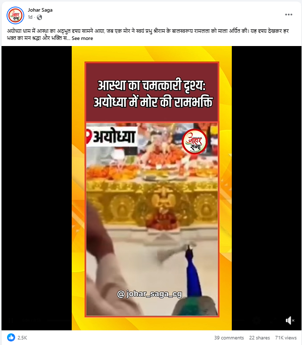 रामलला के मंदिर पर फूलों की माला चढ़ाते मोर