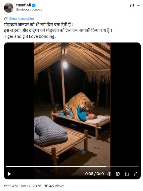 This video of a woman bonding with a tiger was generated by AI